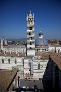 duomo siena dal facciatone (4)